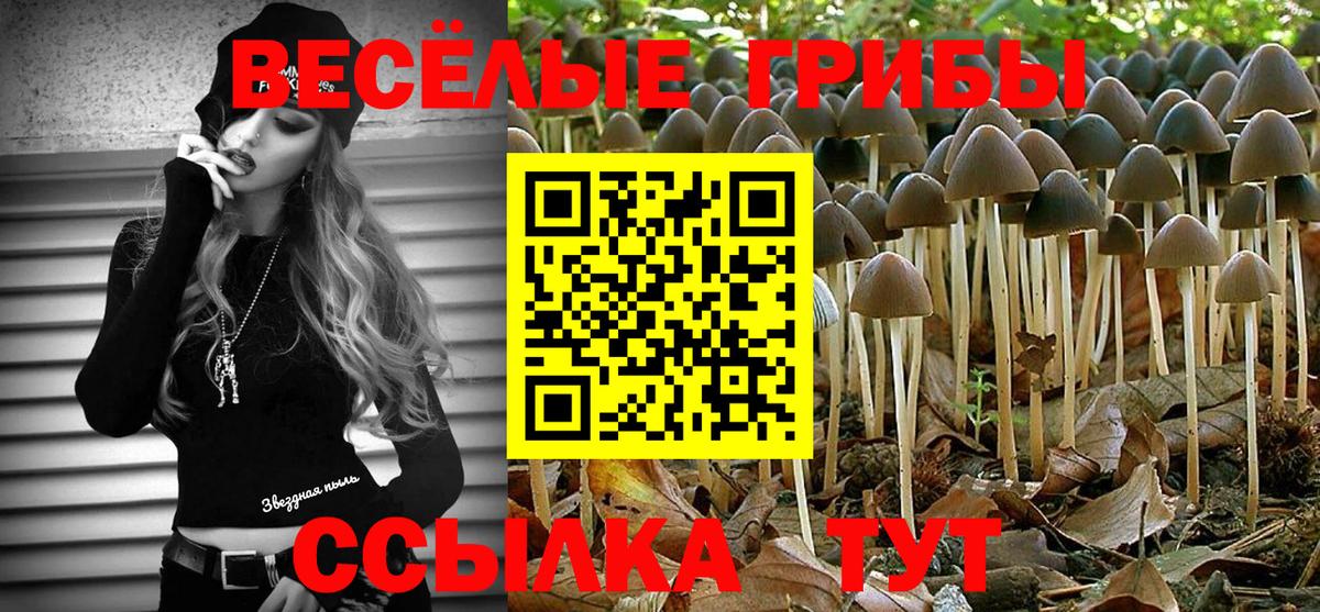 Нижний Новгород  Галлюциногенные грибы GOLDEN TEACHER  Галлюциногенные грибы прущие грибы  Вход с VPN 